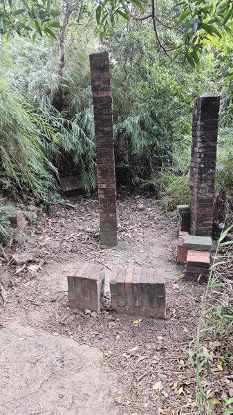 20251218犁頭山-吧哩國山主東峰-石頭坑山西南峰-石頭坑山2967005