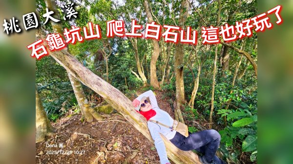 20251229石龜坑山上白石山下白石埤O走+阿姆坪