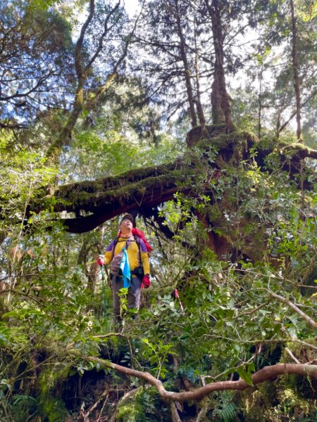 塔魔巴2天1夜來回/復興尖-四稜溫泉2357320