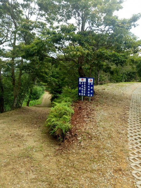 大雪山林道出雲山分桂林山+石岡電火圳生態步道1853571