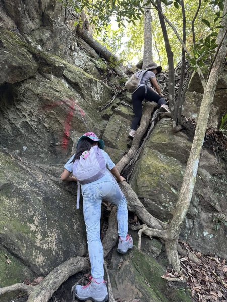 20251116五寮尖2942246