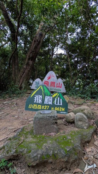 飛鳳山步道3118558
