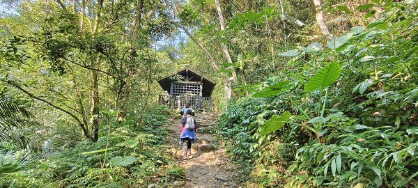 2026/02/21-馬胎古道（含二期）3005115