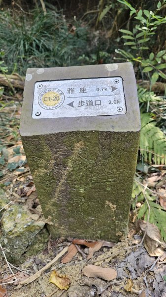 【柴山、壽山、萬壽山，到底哪個才是你！🤣🤣】走一座可以映照出高雄不同時期歷史軌跡的山。3025848