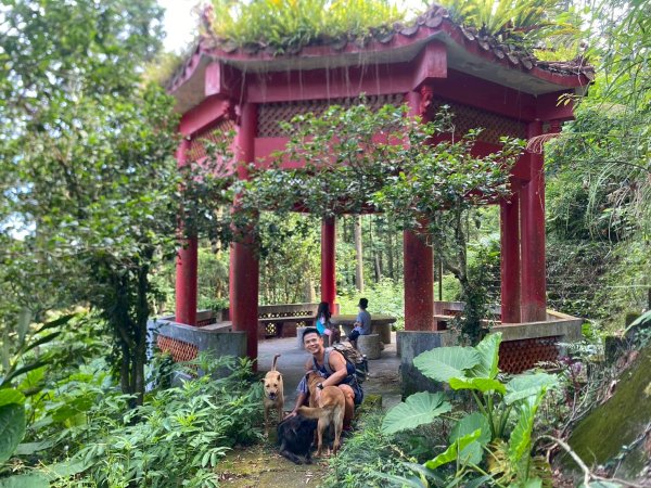 南隘勇古道.龍骨古道.綠色古道.延平古道.鳴鳳古道【一條很單調 一群才精彩】2812091