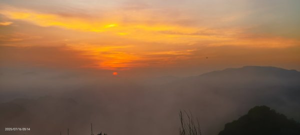 雲山水花鳥蝶-天龍國阿伯的日常 7/162838398