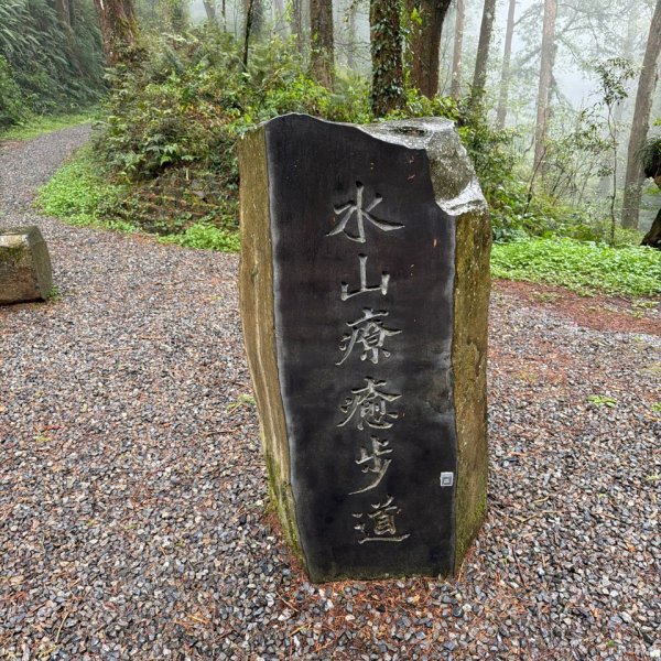 1150404-5水山巨木步道。二萬坪樹抱石3036153