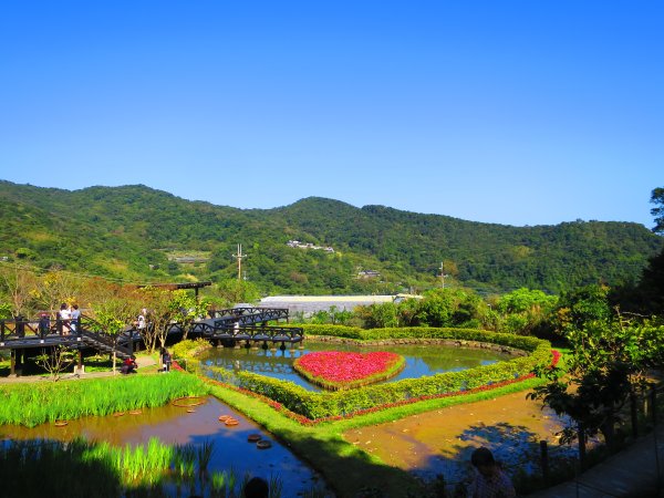 龍年首登的好選擇，鯉躍龍門，搭捷運來內湖爬三尖，鯉魚山、忠勇山、圓覺尖2426515