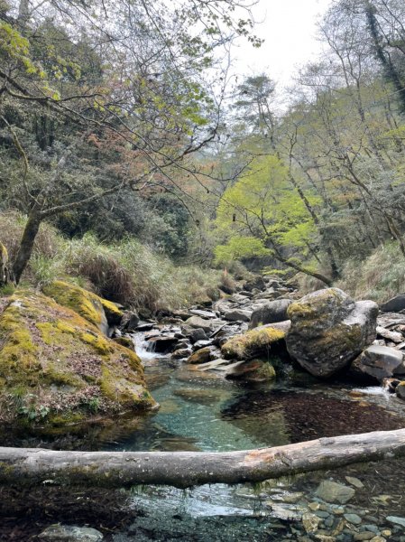 2021-03-28屏風山單攻，111.2K最新登山口去與回1337720