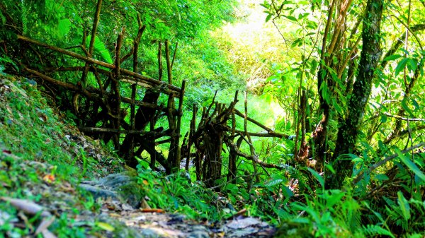 崩山坑越嶺內盤山2913766