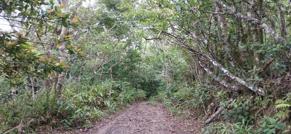 2025 4/5 加奈美山2754449