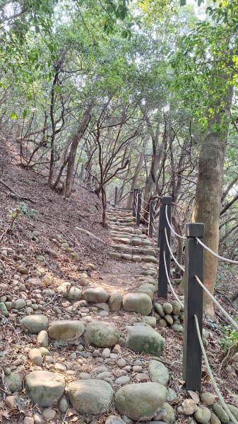 瑞井古道+竹坑山+竹坑南寮步道202603283045264