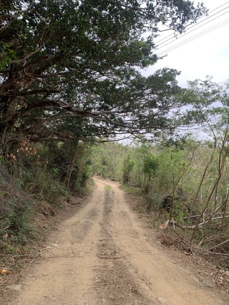 20250405屏東頂楓港山-上楓港山2757485