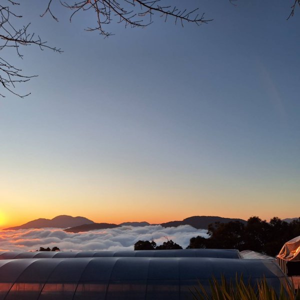 【小百岳49】貓囒山完成!+彩蛋清淨雲海2696077