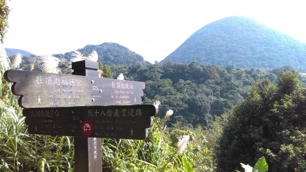 流水淙琤的十八拐圳、櫻紅繽紛的風尾步道811056