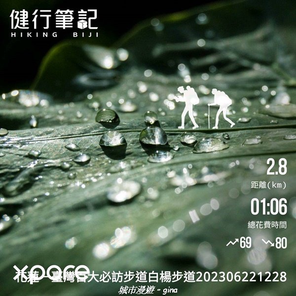 【花蓮秀林】台灣百大必訪步道。 白楊步道2230652