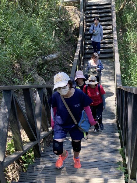《夏日大坑同行記｜10號步道登稜線，與家人感受山風與人情味》2926339