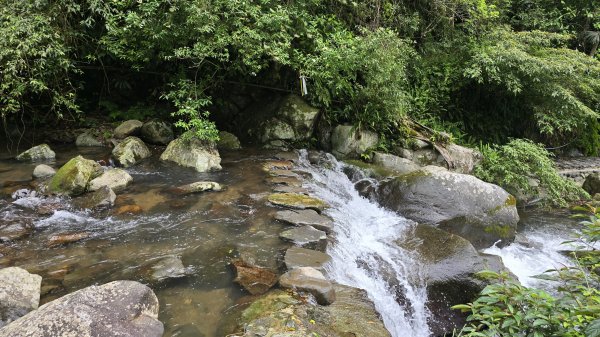 開箱猴崁古道，陽明山秘境，全新完工草山觀瀑吊橋2766369