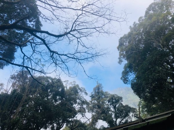 2019/03/02 北大武542009