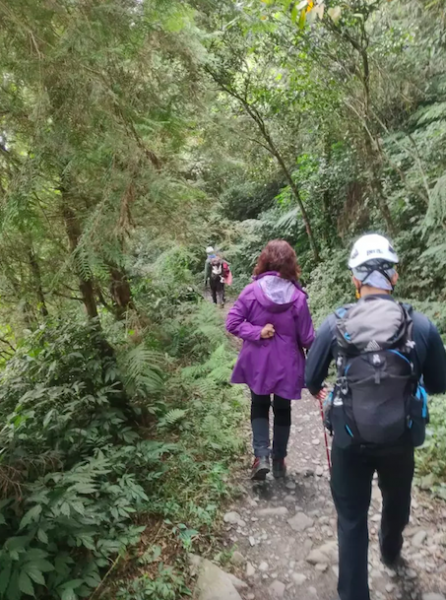 【新聞】登北大武山 婦人下山途中滑落邊坡約7公尺幸無大礙