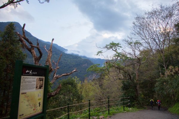 【花蓮】瓦拉米步道春遊823275