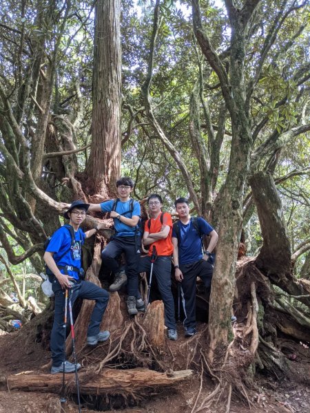 中級山-高島縱走2888428
