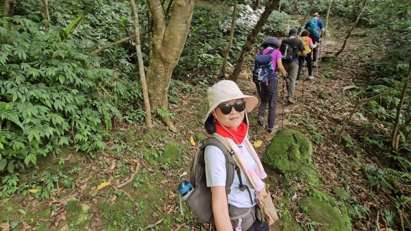 平湖西步道.內平林山.大坑山.平湖東步道O走全紀錄3094130