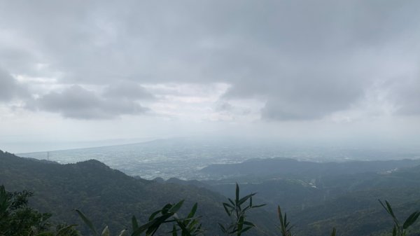 三角崙山、聖母登山步道1638301