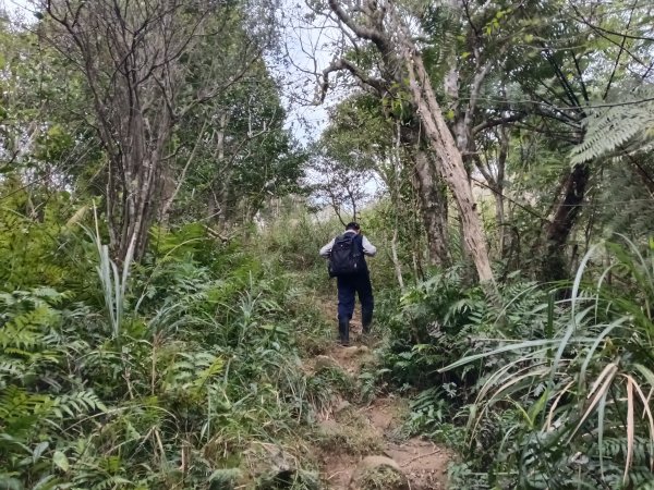 頭城鎮圓通寺+鴻子山東北峰+鴻子山+後湖子山林道+五峰旗山+840峰+水鴨池+水鴨崙+圓通寺O型2983772