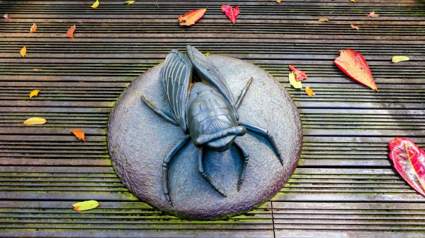 知本森林遊樂區3015072