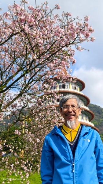 #綠繡眼 訪花 #吉野櫻 #天元宮 #楓樹湖 03162736738