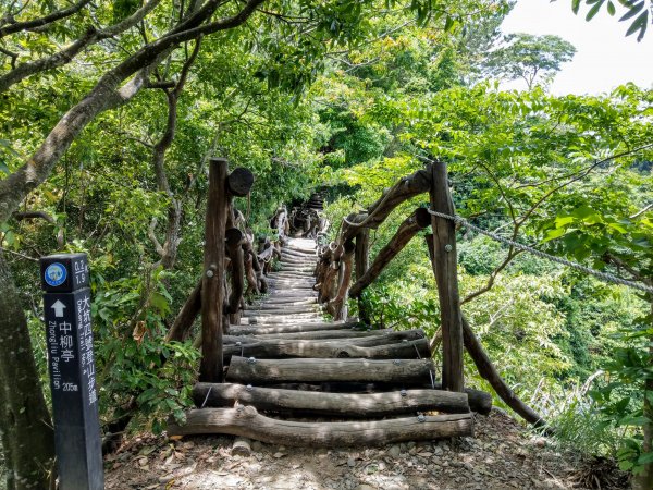 頭嵙山(小百岳#41)大坑4,5,1步道1003673