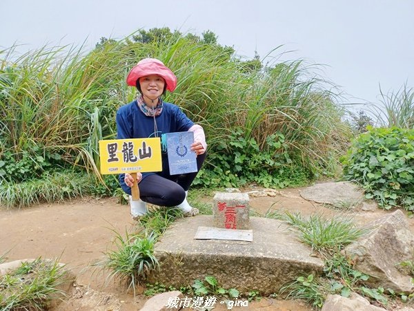 【屏東獅子】山海相望。 小百岳集起來。 編號80小百岳~里龍山自然步道1734648