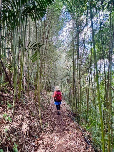 瞭望台-瓊山-望美山-獵人古道2886883