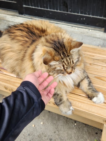 112/2/23龍鳳連稜2148178