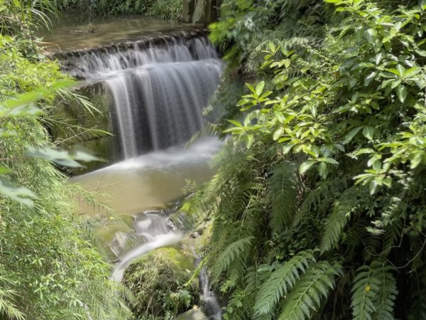 新田登山步道加強版~ 大胡山聚興山林牛山O行縱走
