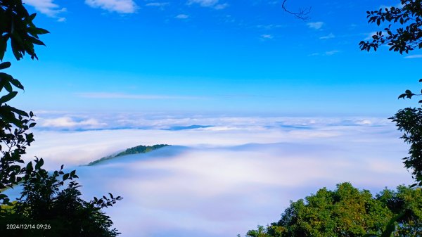 二訪馬拉邦山，解鎖 #琉璃光雲海 #日出雲海  #血月 #斜射光 #楓葉紅了！2668585