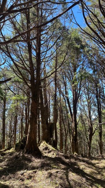 太平之旅 三星山/翠峰湖/見晴2873351