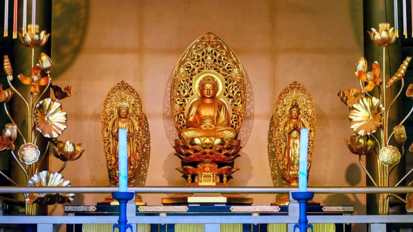 岩手縣藤原之鄉2930111