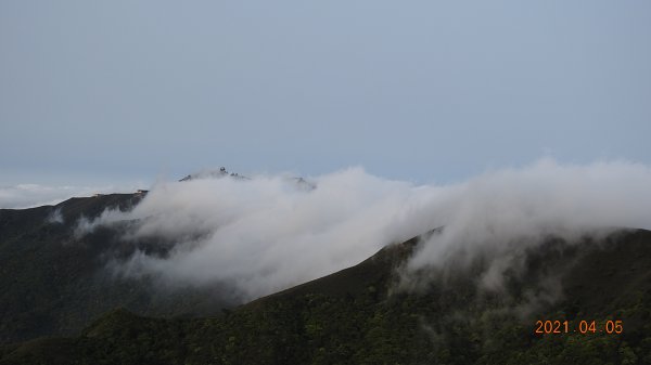 0405陽明山再見雲瀑，今年以來最滿意的一次1335454