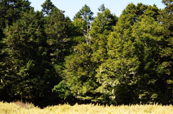 武法奈尾山天巒池872486