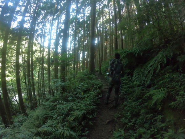 2018/8/11 加里山之旅390391