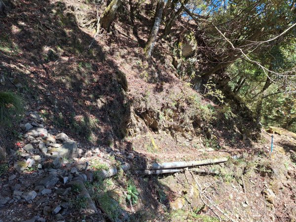 石山引水道202512112959540