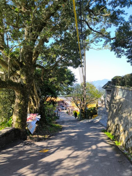 台北大縱走第一段3015750