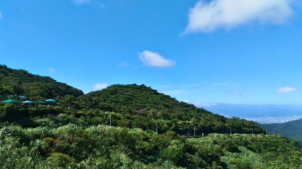 陽明山東西大縱走東段370274