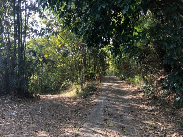 高雄市甲仙區小百岳69號白雲山（廓亭山）一等三角點及一等衛星控制點1984396