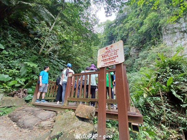 【花蓮】 楓林步道好視野x撒固兒步道、撒固兒瀑布超沁涼2247908