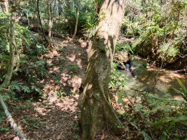 汐止區小溪瀑布+車坪寮土地公稜線2890139