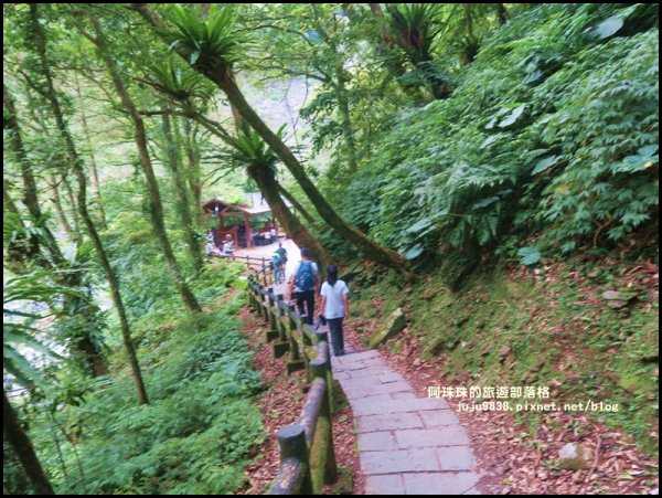 烏來內洞國家森林遊樂區觀瀑步道618576