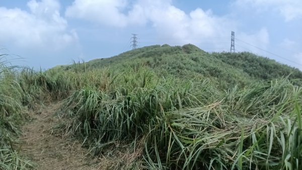 雙溪區不厭亭-牡丹山-金瓜石福德-樹梅坪-不厭亭-金字碑探幽亭-三貂崙-不厭亭8字走3111409